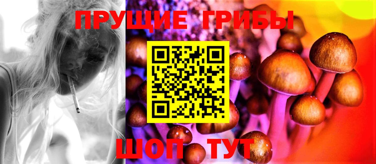 продажа наркотиков  Галлюциногенные грибы MAGIC MUSHROOMS  Вход с VPN  Псилоцибиновые грибы MAGIC MUSHROOMS  Ржев 